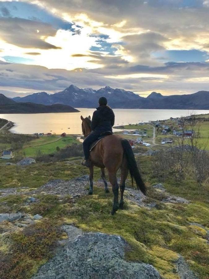 Storjord Farmstay Ranchhouse Kvaloya Экстерьер фото