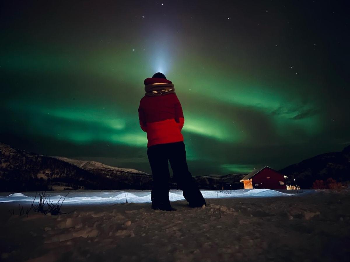 Storjord Farmstay Ranchhouse Kvaloya Экстерьер фото